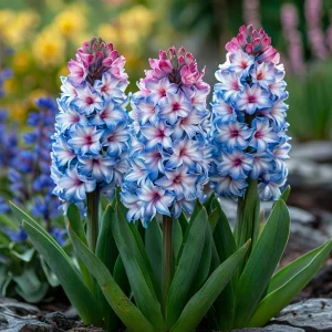 Гиацинт Пинк Мари купить по цене от 2099р. в интернет-магазине «Посадика» с доставкой почтой в в Челябинске и по всей России – [изображение №1].